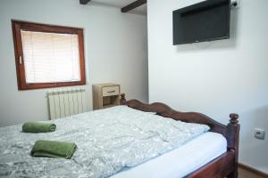 a bedroom with a bed with a television on the wall at Vodenica kod Uče in Gukoš
