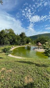 a small pond with a umbrella in the middle of a field at Malajac Bigrenica in Bigrenica