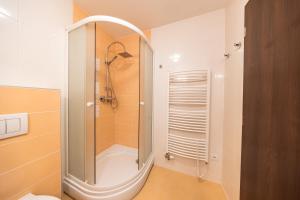 a bathroom with a shower and a toilet in it at Penzión Bergmannhof in Ladomer
