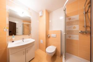 a bathroom with a sink and a toilet and a shower at Penzión Bergmannhof in Ladomer