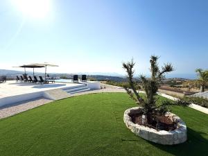 a small tree in a pot on a lawn at Seaview Panorama Villa in Drousha
