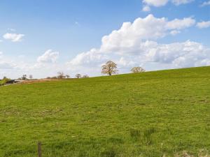 a green field with two trees on top of it at The Barbon - Uk47033 in Kirkby Lonsdale