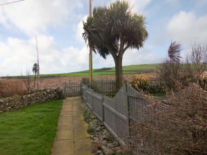 a fence with a palm tree next to a field at Gigha in Drummore