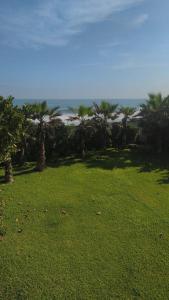a green lawn with palm trees and the beach at Casa Catalina - Oceanfront house Lima in Lima