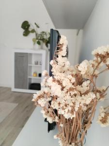 a vase filled with white flowers in a room at Mini Comfort House Udine in Udine +12 photos