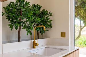 a kitchen sink with a gold faucet and a plant at Refúgio Do Loureiro in Sesimbra +12 photos