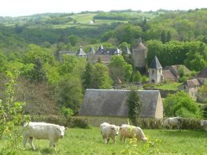 a group of sheep grazing in a field with a village at Gîte de la Savenée in Saint-André-en-Morvan