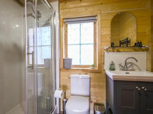 a bathroom with a toilet and a sink and a shower at Stable Lodge At Greenacre in Bromyard