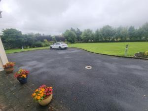 a white car parked in a parking lot with flowers at Oyster Lodge shared accomadation in Galway