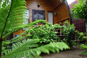 ein Haus mit einer großen grünen Pflanze davor in der Unterkunft Banana Leaf Bungalow in Gili Trawangan