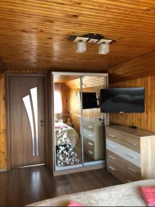 a bedroom with a bed and a tv in a room at HOUSE Mold in Lazeshchyna