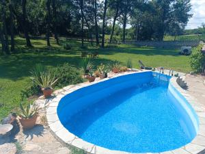 a pool in a yard with plants in a yard at Imanje Mihailovic 1 in Pružatovac