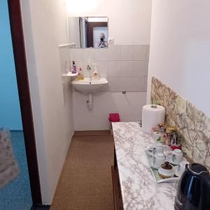 a bathroom with a sink and a counter with a sink at Kuca za prespavati in Bihać