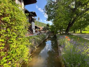 a small river in a park with flowers at Vodenica kod Uče in Gukoš