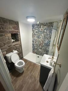a bathroom with a toilet and a stone wall at Owl Cottage - sleeps 5 near Brecon Beacons, Zip World, Bike Park Wales in Llwydcoed Station +34 photos