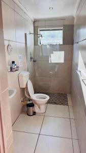 a bathroom with a toilet and a sink at Aiden guest house in Gqeberha