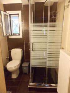 a bathroom with a toilet and a glass shower at Vasiliki View in Áyios Pétros +46 photos