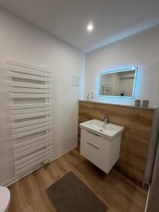 a bathroom with a sink and a mirror at Doppelapartment alte Bäckerei in Feldberg