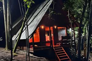 a cabin in the woods at night at Cabana Andorinha in Três Coroas