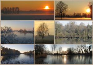 a collage of photos of trees on a lake at bilocale con NETFLIX INCLUSO in Lodi