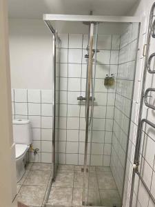 a bathroom with a shower and a toilet at City Hall Apartments in Borgarnes +63 photos