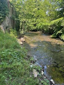 a stream of water with trees and grass next to it at Manoir du Moulin Fleury in Villedieu-les-Poêles +18 photos