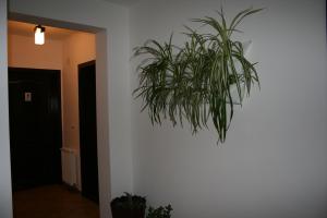 Foto dalla galleria di ,, La Moara '' a Peştişani Altre 27 foto