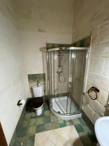 a bathroom with a shower with a toilet and a sink at Kercem Boutique Farmhouse in Kerċem +5 photos