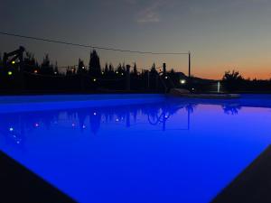 an empty swimming pool at night with blue illumination at Finca Tolomó in Aspe