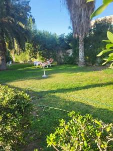 a park with a bench and a palm tree at summer kif in Nabeul