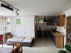 a living room with a bed and a kitchen at Kwatery u Gabrieli in Włodzimierzów