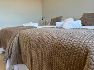 a bedroom with two beds with a brown blanket at Pensión Eirín VI in Caldas de Reis +28 photos