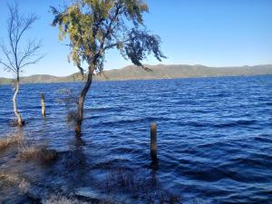 two trees in the middle of a large body of water at Los Colibríes de Potrero in Potrero de Garay
