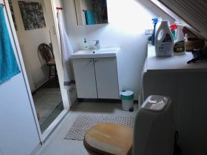 a small bathroom with a sink and a toilet at Friisenborg in Jelling