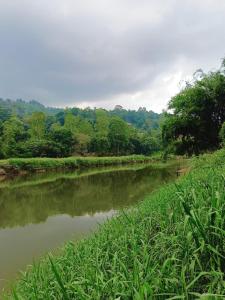 a river with grass and trees in the background at Khs resort in Gelioya +9 photos