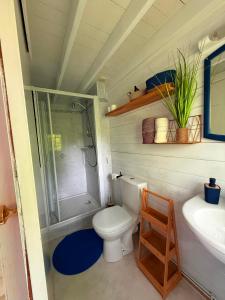 a bathroom with a toilet and a shower and a sink at La Cabane du Pti' Bonheur in Saint-Coulomb