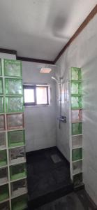 a bathroom with a shower with glass shelves at The Loft'y #3 in Famara
