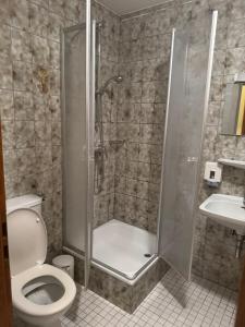 a bathroom with a shower and a toilet and a sink at Sempre Bello in Iffezheim