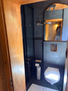 a small bathroom with a toilet and a mirror at Cosy duplex close to Verbier in Bruson