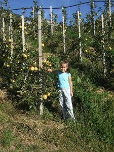 Hosté ubytování Agritur Le Pergole