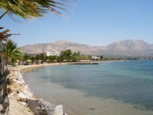 ein Strand mit vielen Leuten im Wasser in der Unterkunft Diamanto Rooms in Eretria + 38 Fotos