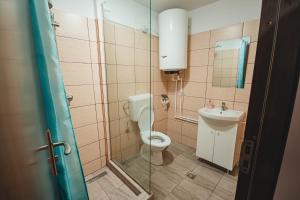 a bathroom with a toilet and a sink at Casa Andrei in Eşelniţa +20 photos