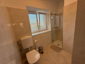 a bathroom with a toilet and a shower at Apartments Palma Novalja in Novalja +48 photos