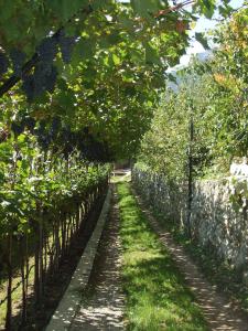 Zahrada ubytování Agritur Le Pergole
