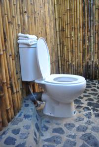 a toilet in front of a bamboo wall at Le Caveau de lemuriens in Nosy Be