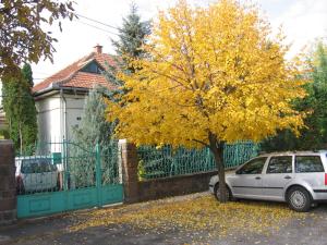 een auto geparkeerd onder een gele boom voor een hek bij Családi Vendégház in Eger