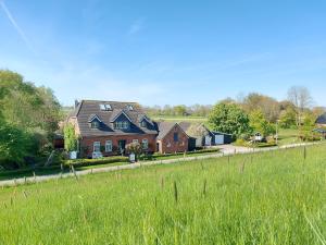 a house in a field with a grassy field at Lotsenwohnung B-9 in Butjadingen