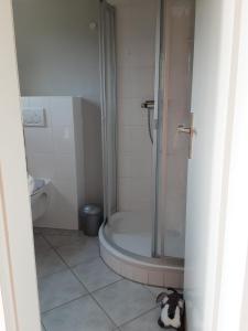 a bathroom with a shower and a cat sitting on the floor at Haus Maya H-12 in Butjadingen +11 photos