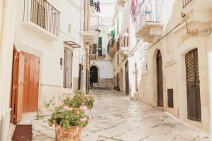 an alley in an old town with a potted plant at Corte Altobelli Rooms Bitonto in Bitonto