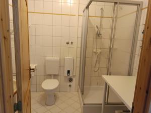a bathroom with a shower with a toilet and a sink at Haus am Prerow-Strand in Prerow +5 photos
